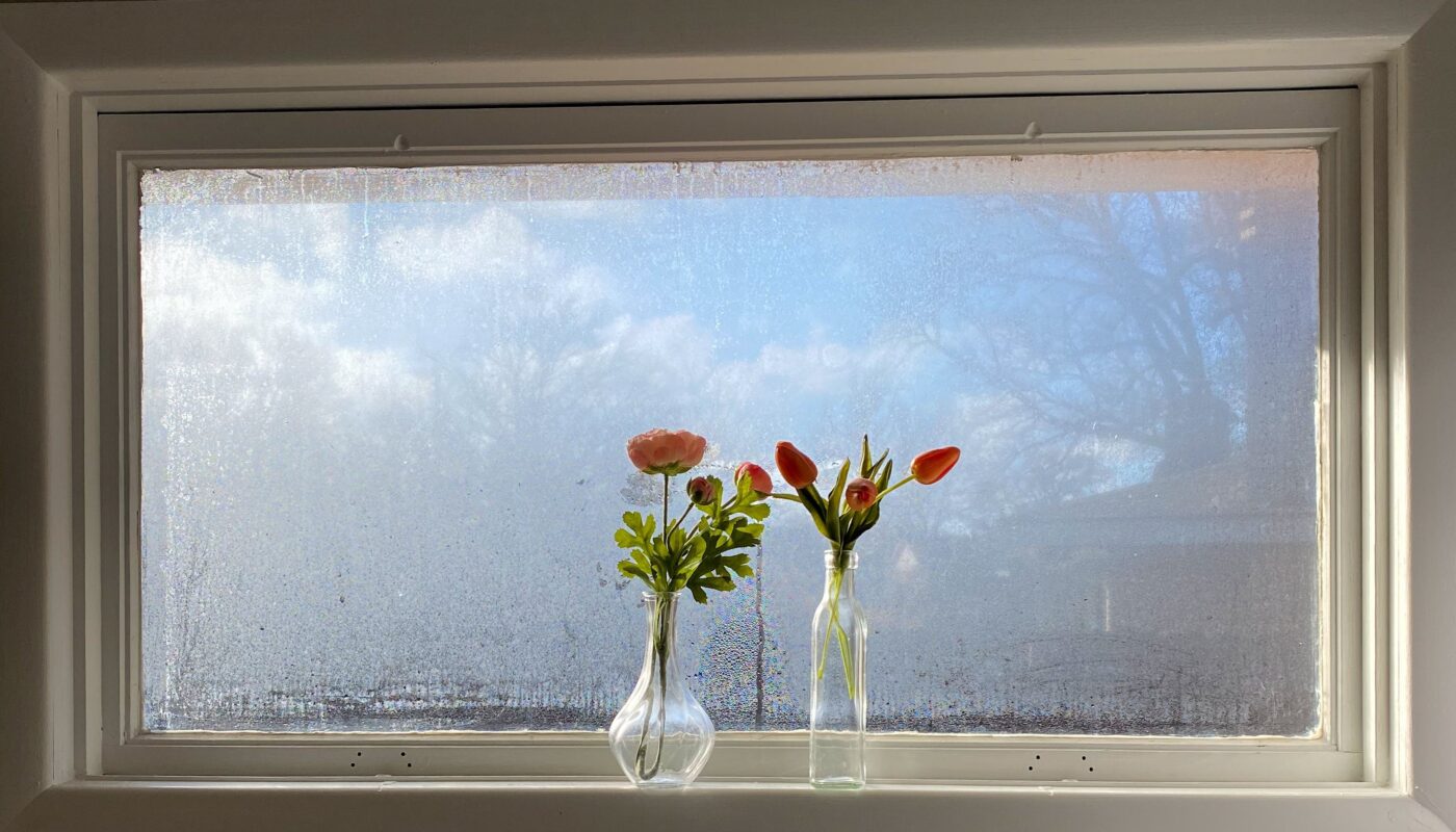vase de fleur devant fenetre vitrée